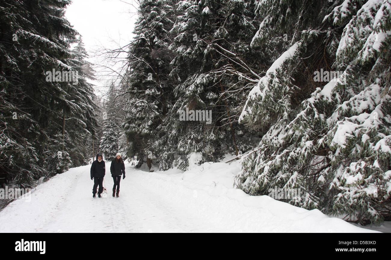 Durch eine winterliche Landschaft im Nationalpark Harz bei Schierke laufen am Samstag (02.01.2010) zwei Wanderer. Tausende Touristen halten sich derzeit bei Schneehöhen bis zu 60 Zentimetern im Oberharz auf. Foto: Jens Wolf dpa/lni/lah Stock Photo