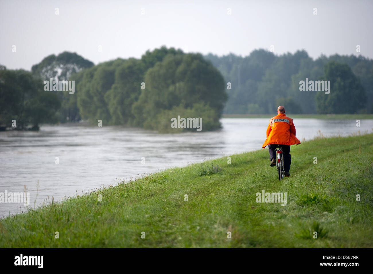 A fireman checks on the high water on the Neisse while riding his bike in Klein Bademeusel, Germany, 09 August 2010. The town was the first to be evacuated due to the high waters on the Neisse and Spree rivers. Photo: Arno Burgi Stock Photo