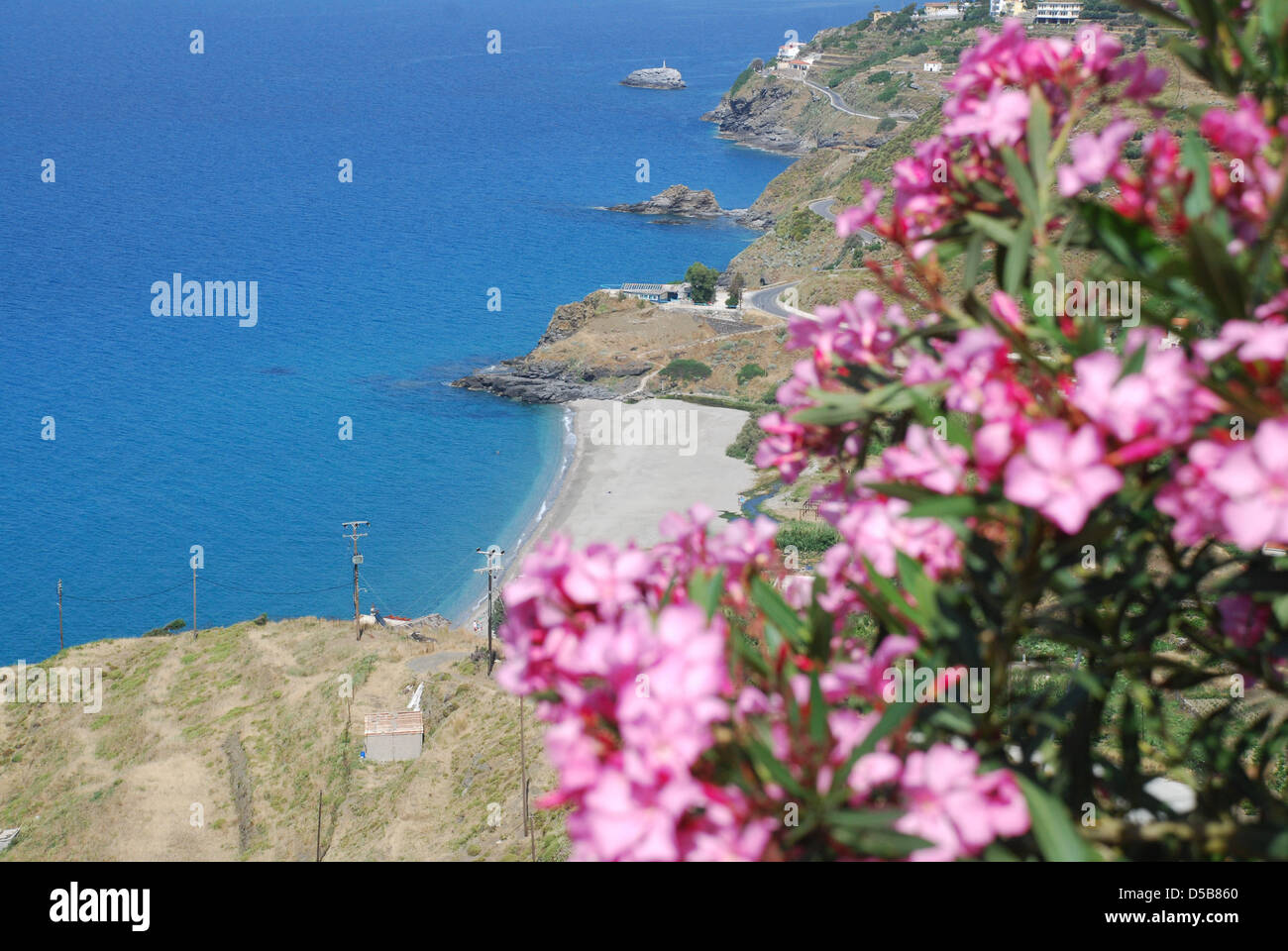 Colourful Flowers Bloom At The Coast Of The Island Ikaria Greece 6 Stock Photo Alamy Colourful Flowers Bloom At The Coast Of The Island Ikaria Greece 6 Stock Photo Alamy