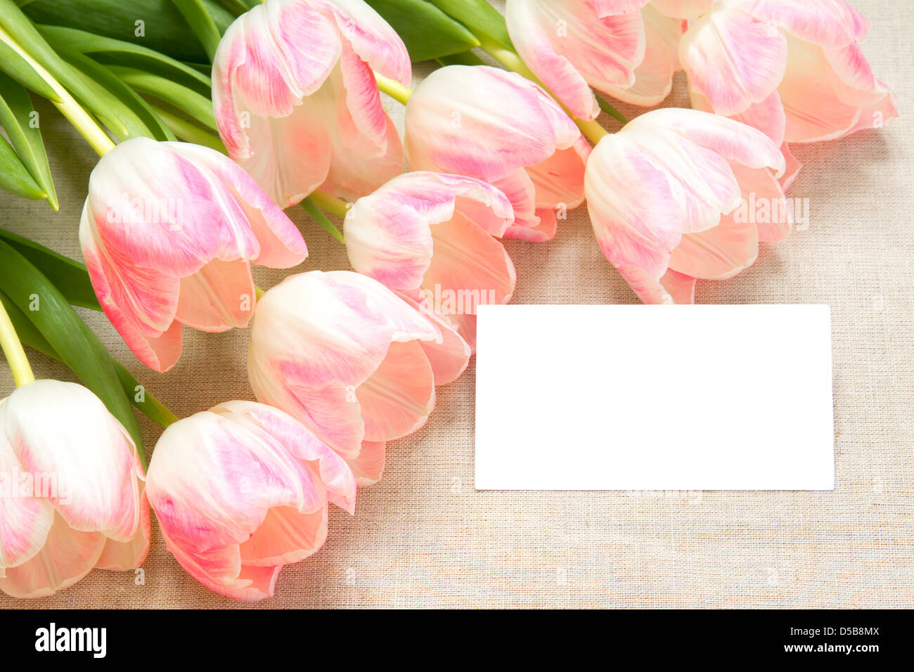 Card for text and pink tulips over linen background Stock Photo - Alamy