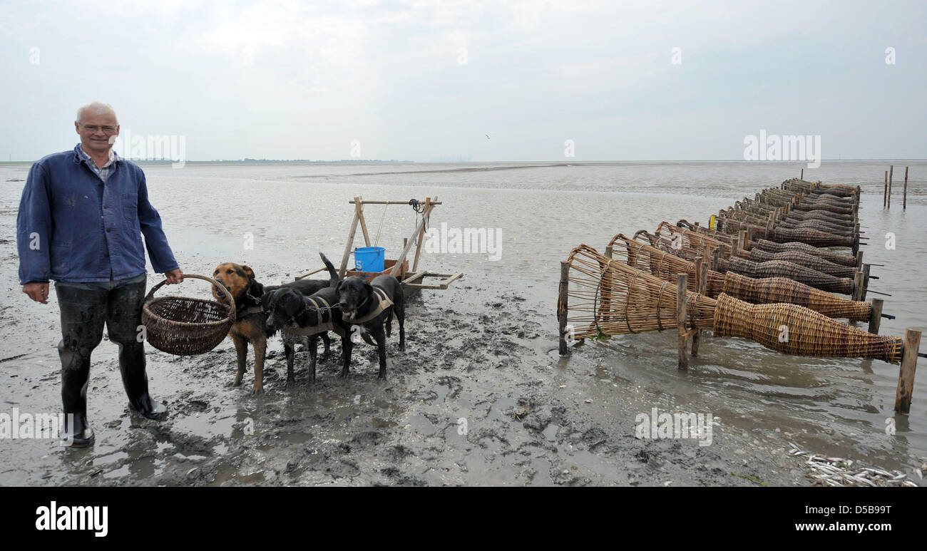 Djuren High Resolution Stock Photography and Images - Alamy