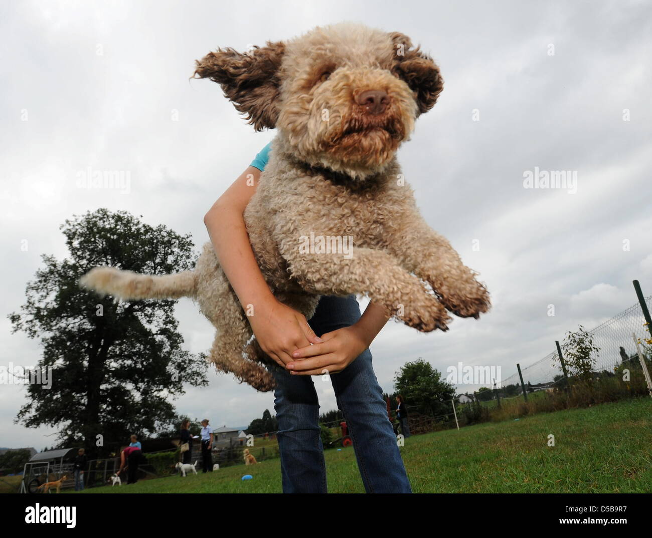 A dog jumps through its owner's arms at a 'Dogdancing' session in