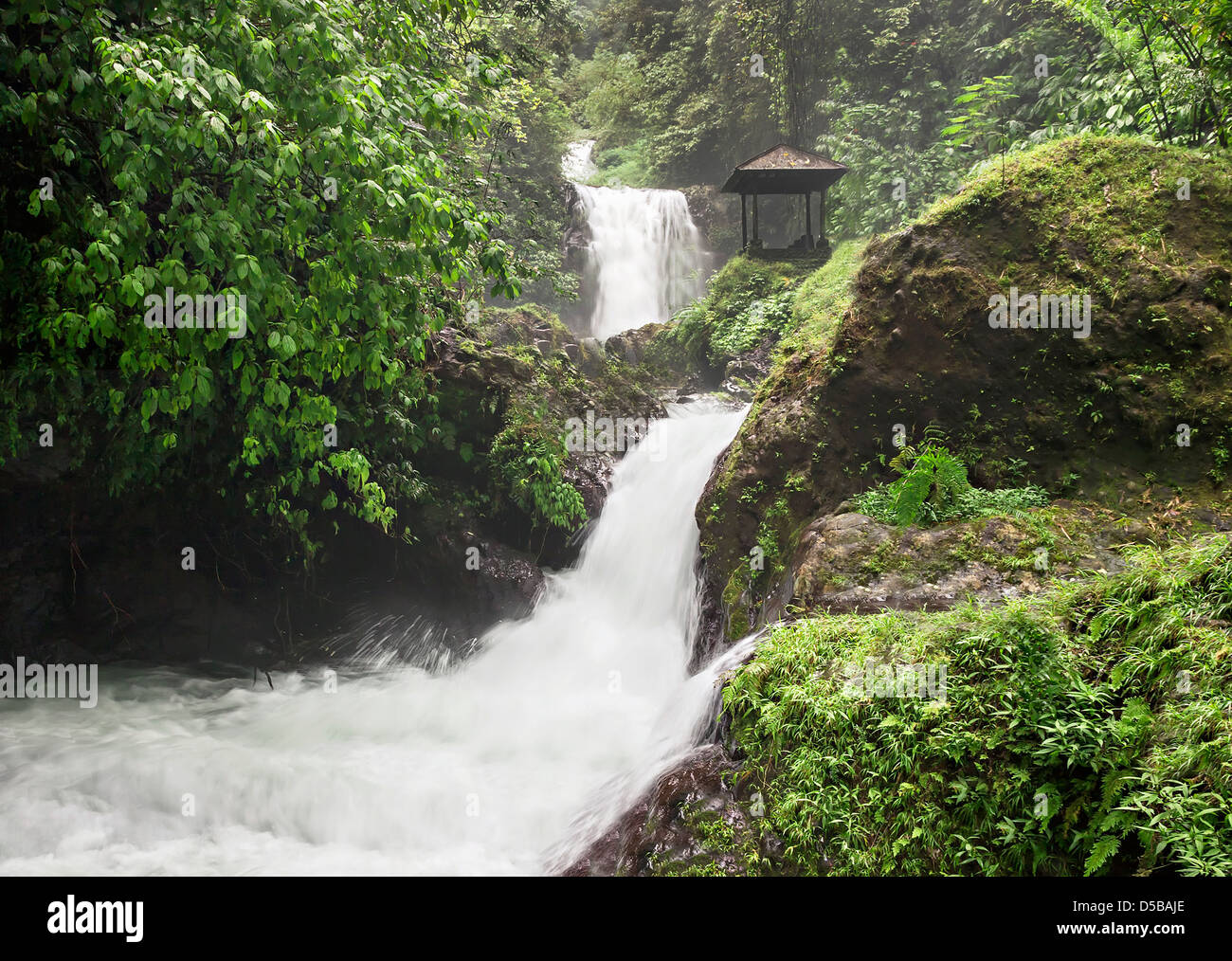 Beauty waterfall on Bali island Stock Photo - Alamy
