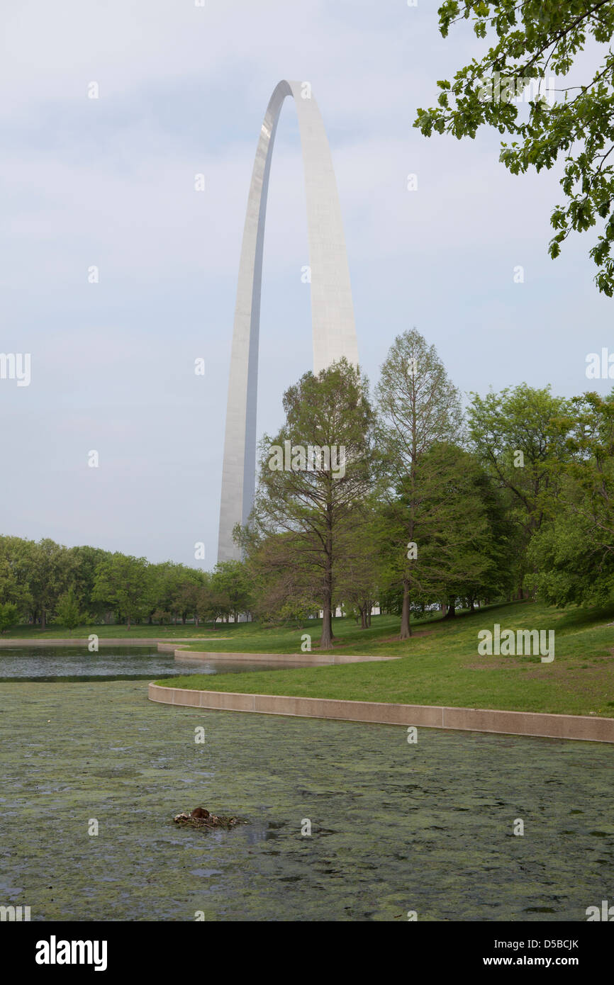 A water rats nest in front of the Gateway Arch, Saint Louis, Missouri, USA Stock Photo