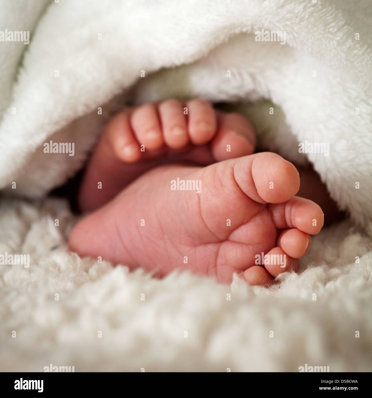 Baby toes hi-res stock photography and images - Alamy
