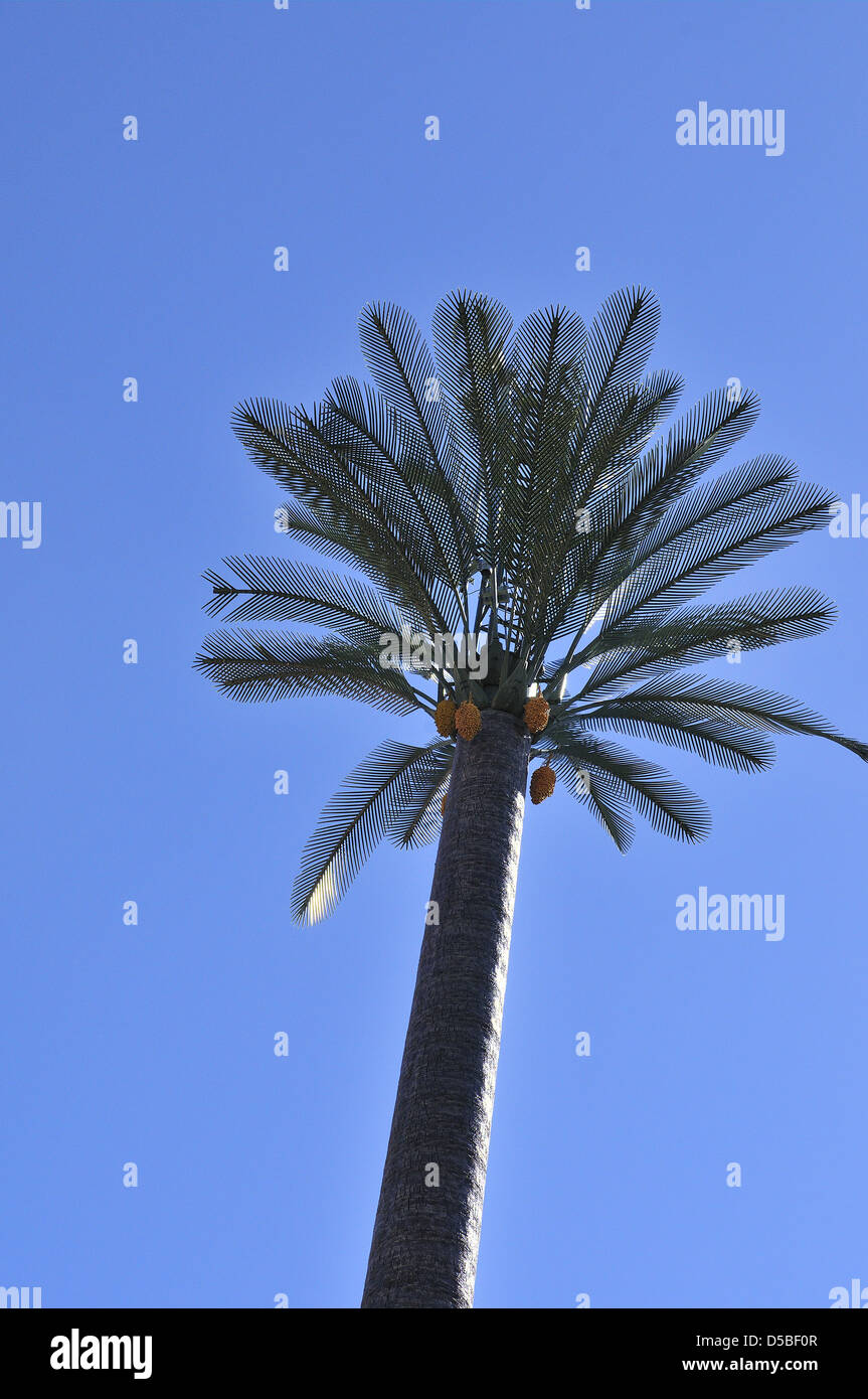 Man Made Palm Tree High Resolution Stock Photography and Images Alamy