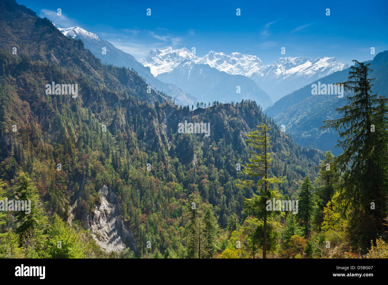Valley of eternity himalayas hi-res stock photography and images - Alamy