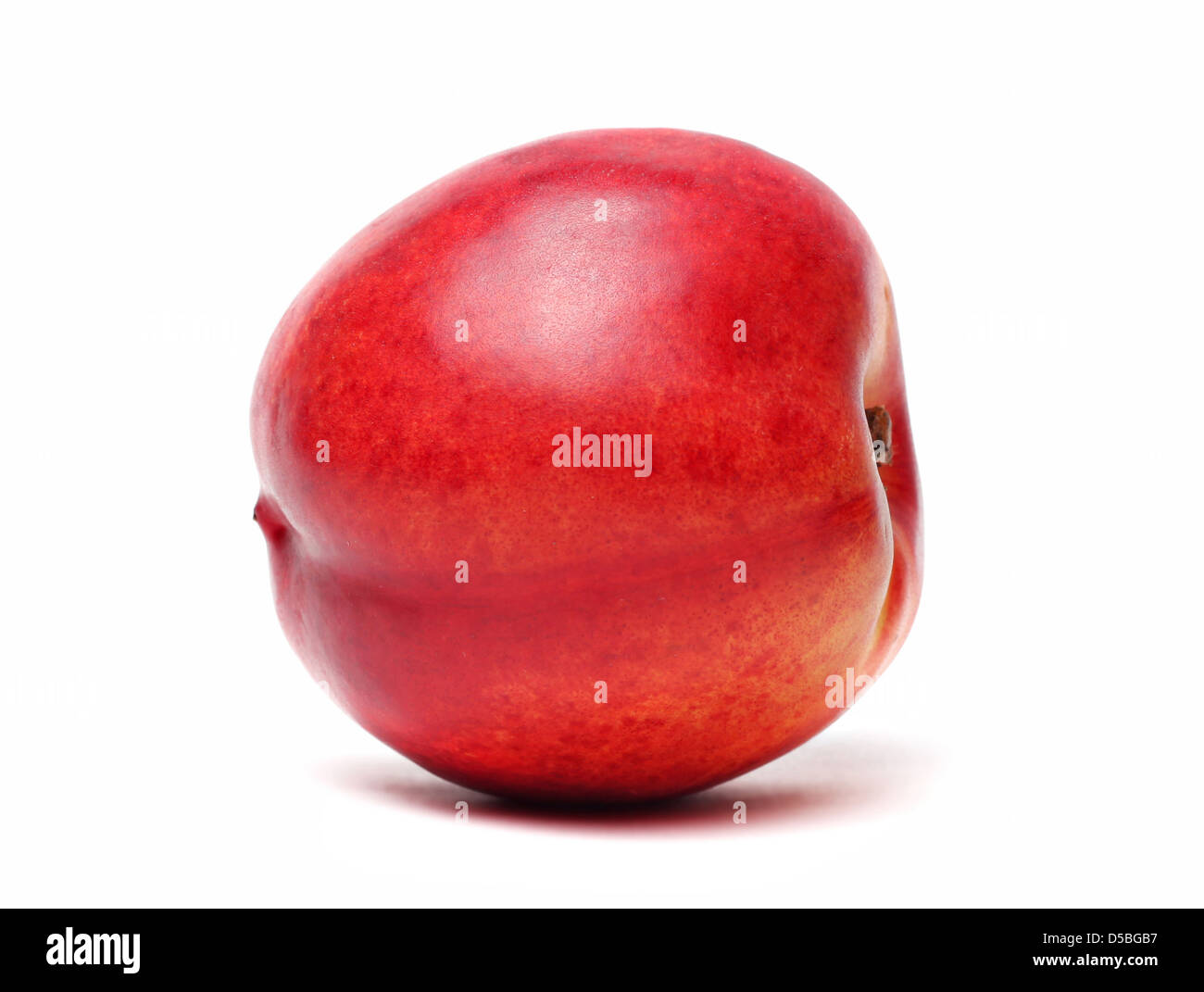Single nectarine isolated on a white background Stock Photo Alamy