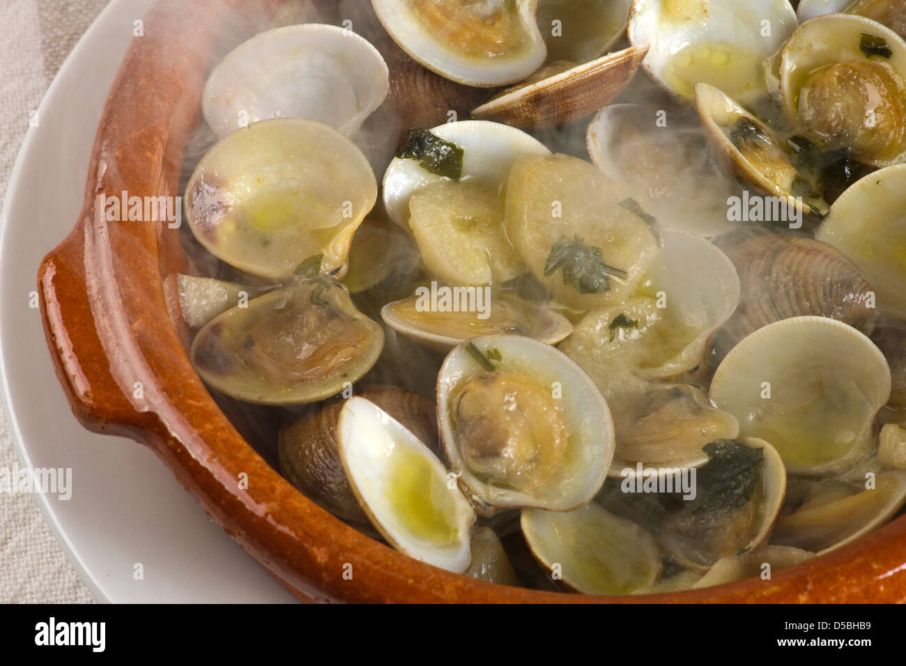 Clams, Clams Closeup Stock Photo Alamy