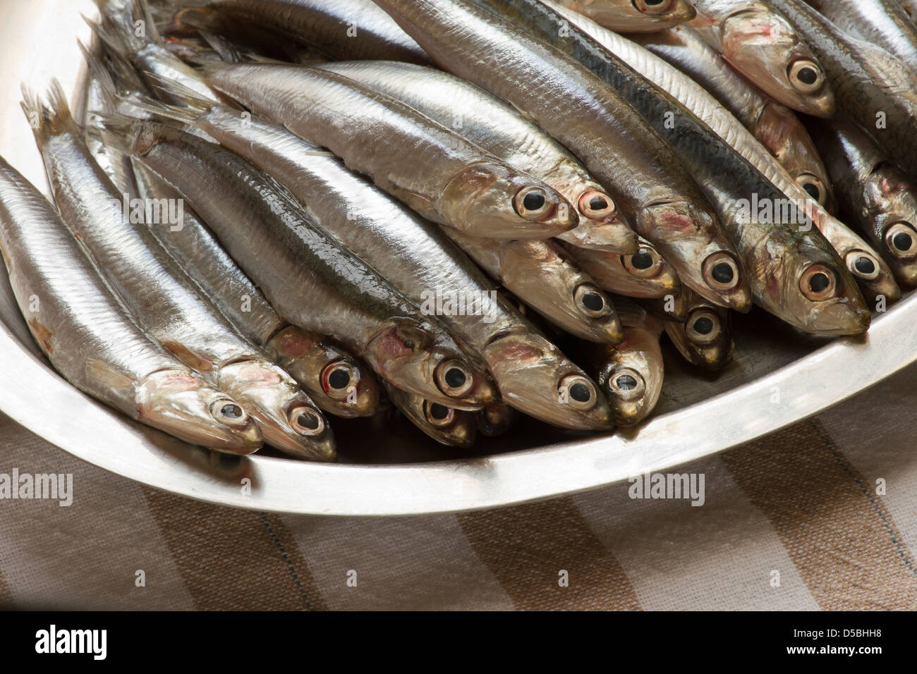 Fresh anchovies tray Stock Photo