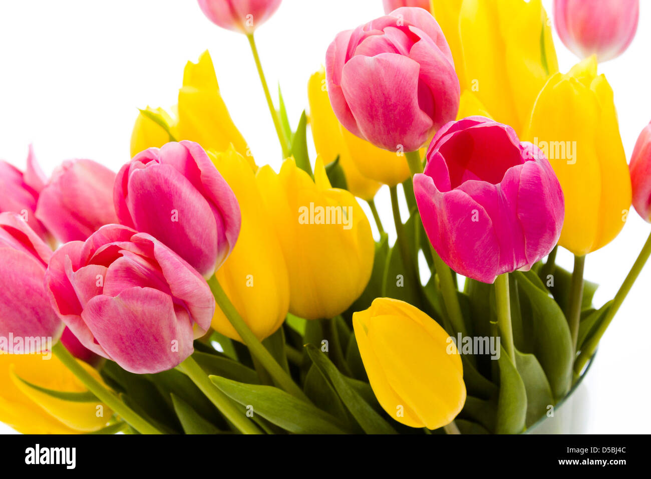 Yellow and pink tulips in spring bouquet Stock Photo - Alamy