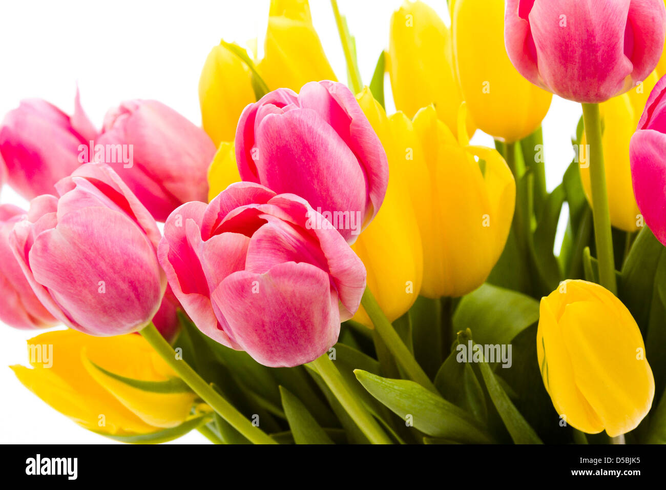 Yellow and pink tulips in spring bouquet Stock Photo - Alamy