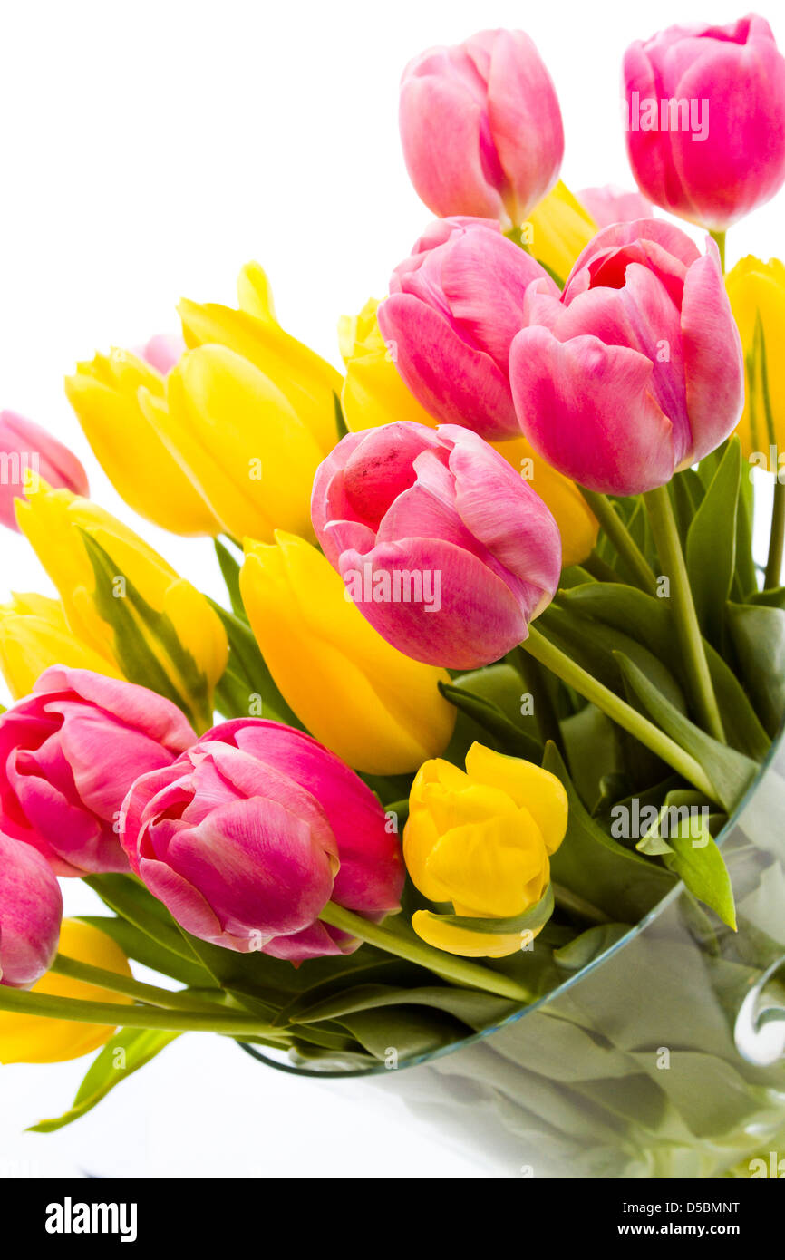 Yellow and pink tulips in spring bouquet Stock Photo - Alamy