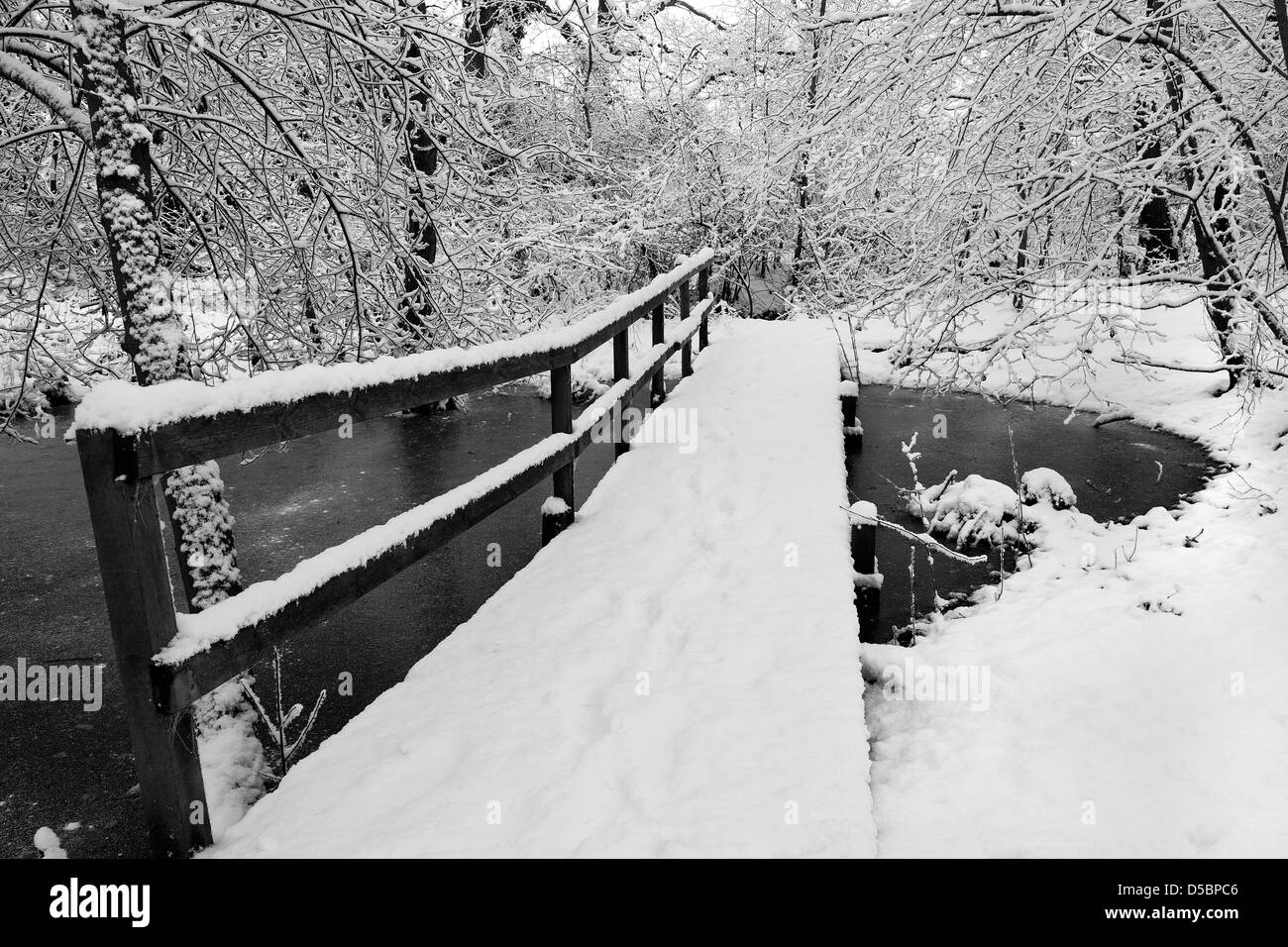 Snow covered footbridge over small pond in woodland copse, Norfolk, UK. Stock Photo