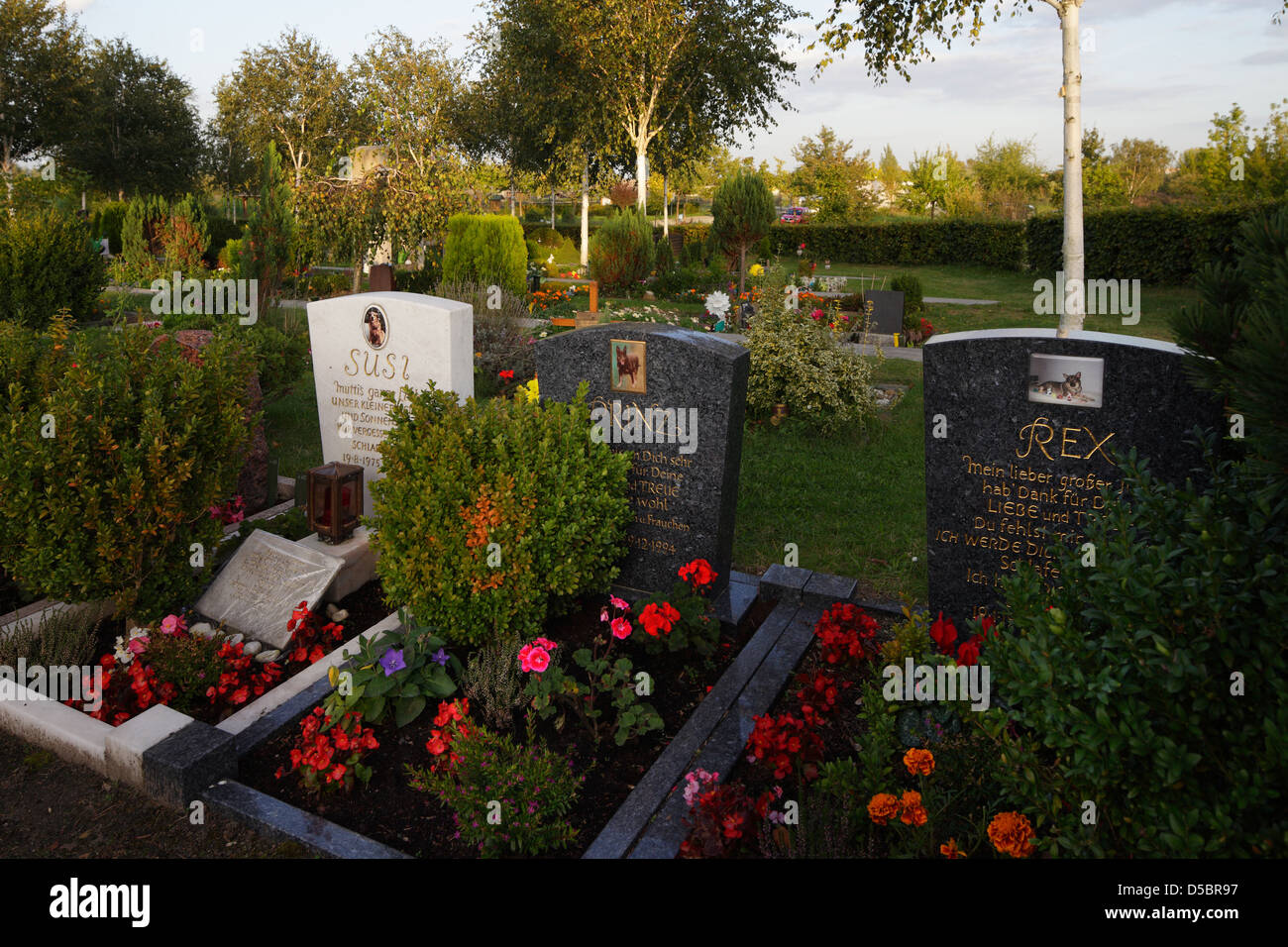 berlin-germany-pet-cemetery-at-the-animal-shelter-in-berlin-stock