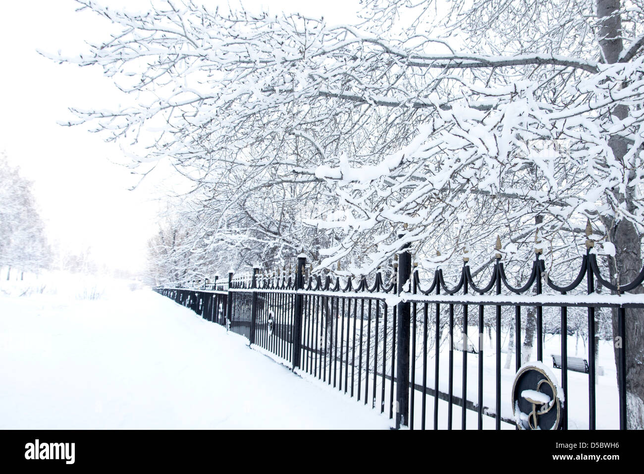 Winter scene. Snow-covered trees and forged fence of park Stock Photo ...