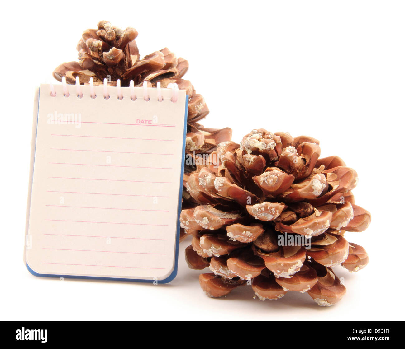 A notes resting on two pine cone. Stock Photo
