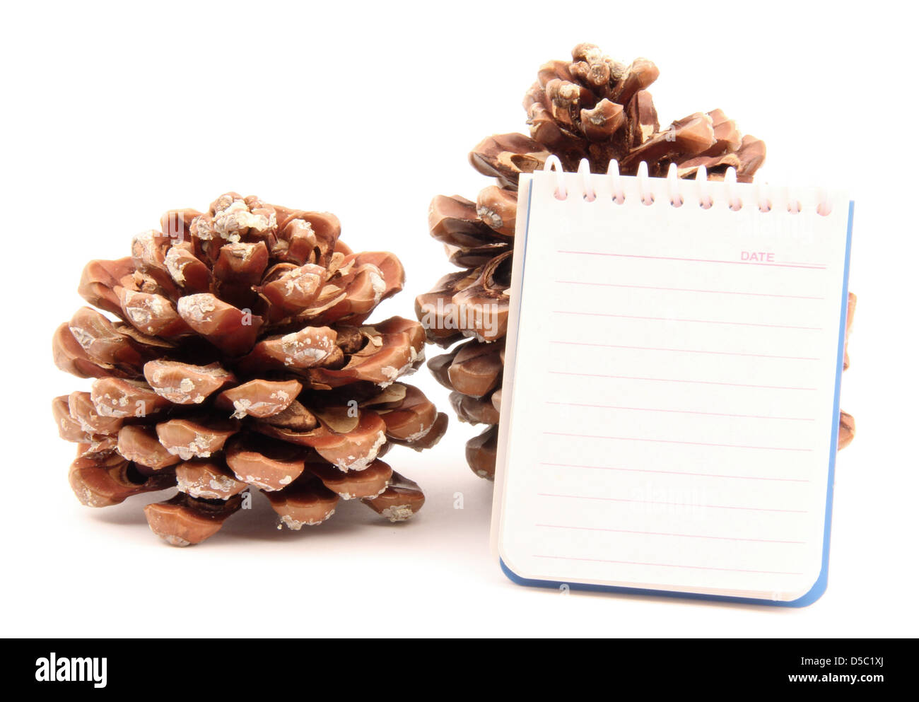 A notes resting on two pine cone - left side Stock Photo