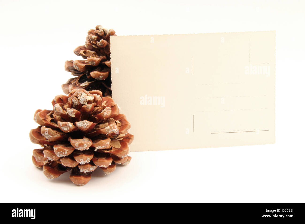 A postcard resting on two pine cone - left side. Stock Photo