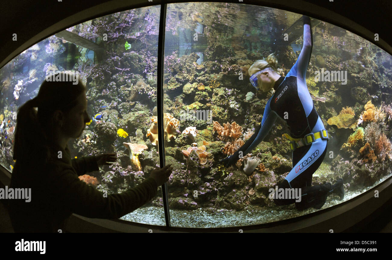Keeper Kirsten Roth cleans teh twelve-metres coral reef of Leipzig's ...