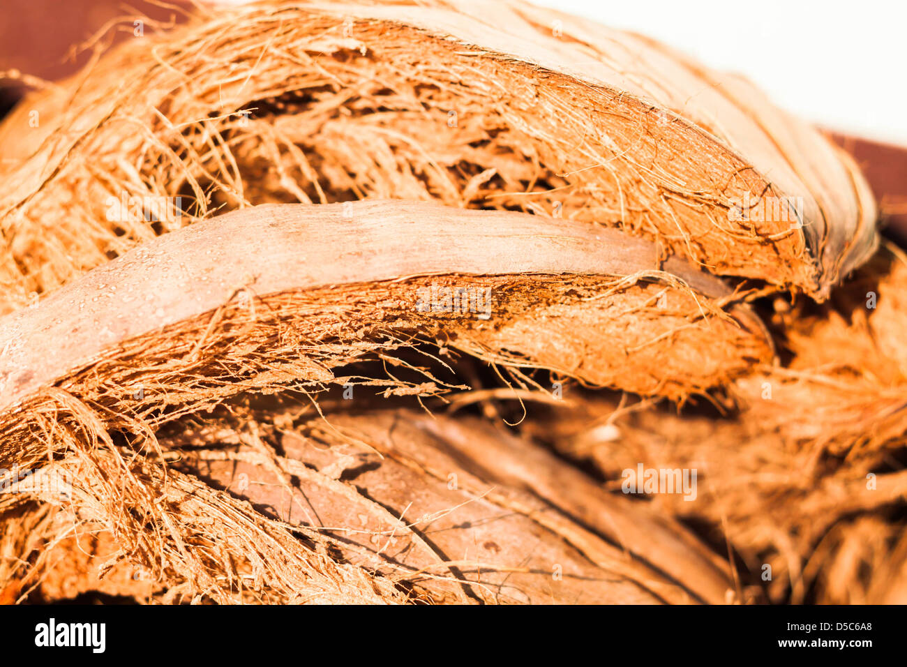 Coir or coconut fiber texture after crack Stock Photo Alamy
