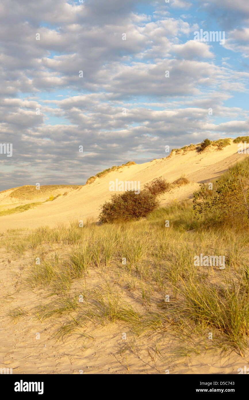 Coastal dune lake hi-res stock photography and images - Alamy, image size:866x1390