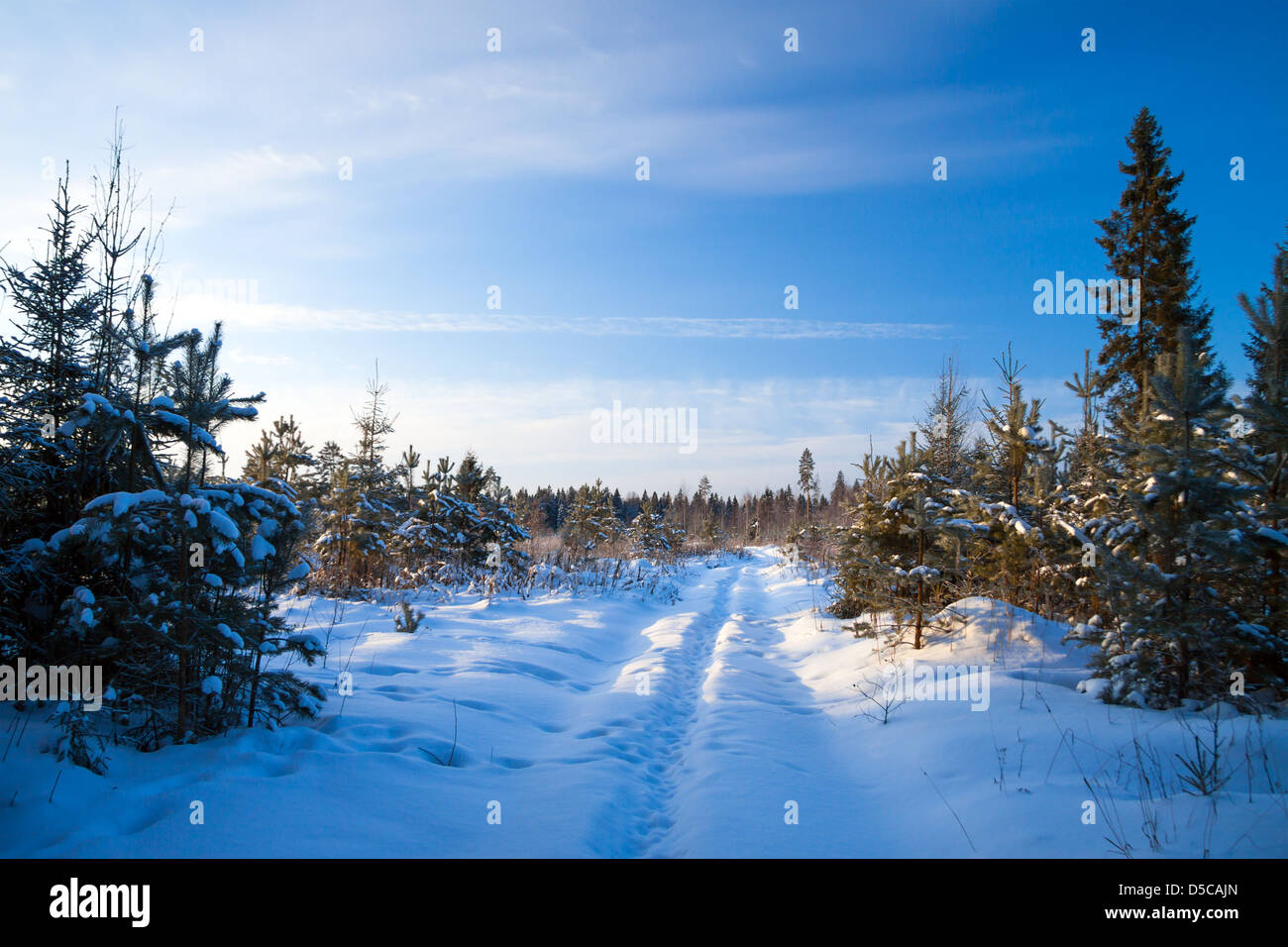 Winter landscape with road and wood Stock Photo - Alamy