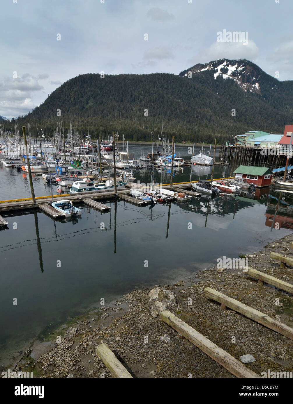 Harbor in Petersburg, Alaska Stock Photo Alamy