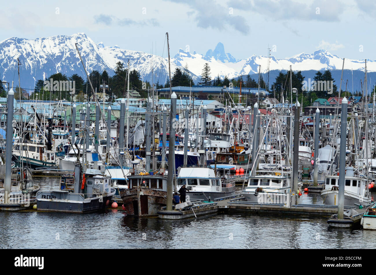 Harbor in Petersburg, Alaska Stock Photo Alamy