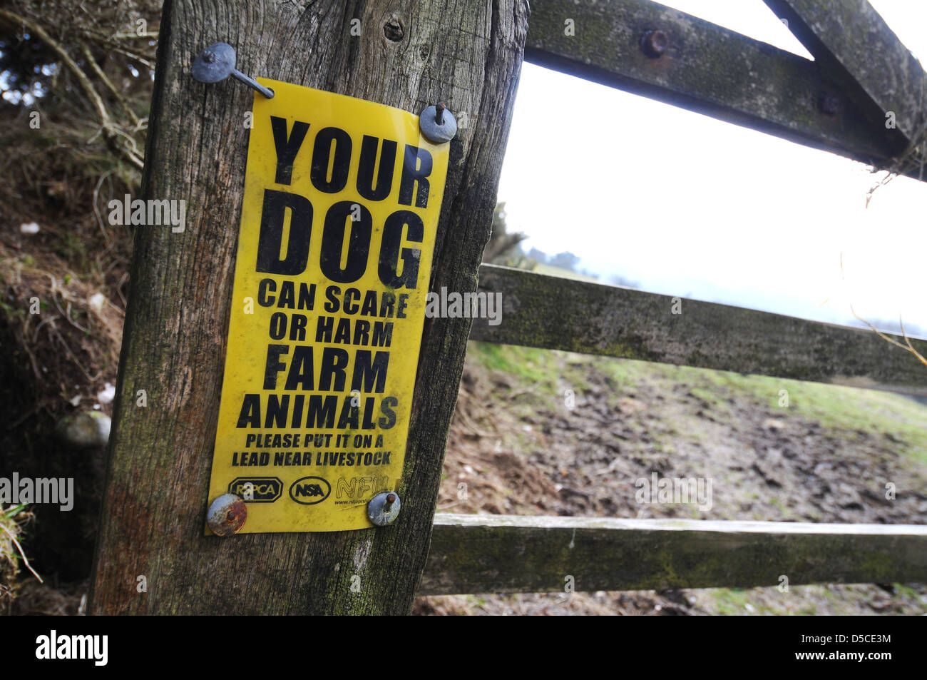 Your dog can scare or harm farm animals warning sign, UK Stock Photo