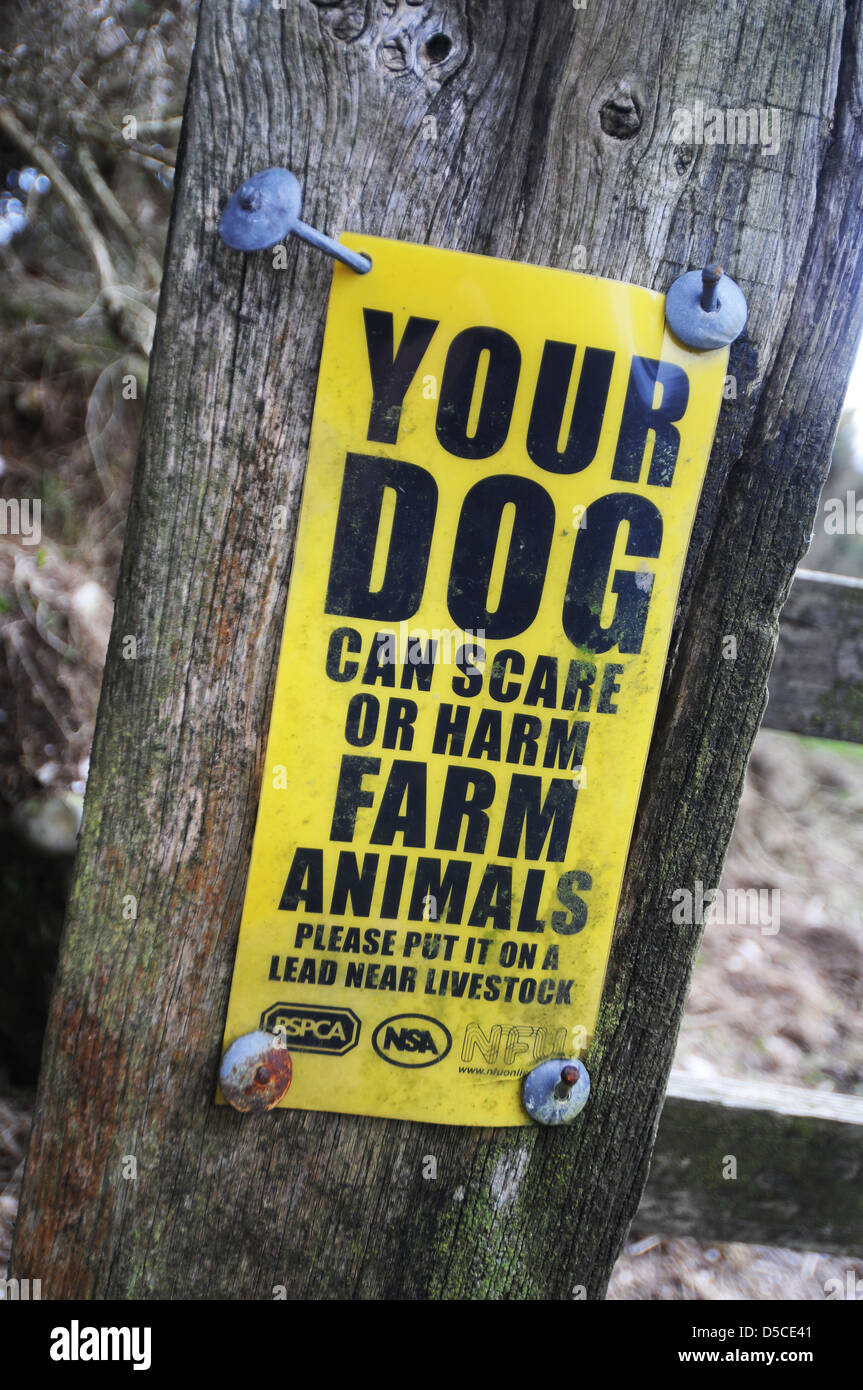 Your dog can scare or harm farm animals warning sign, UK Stock Photo