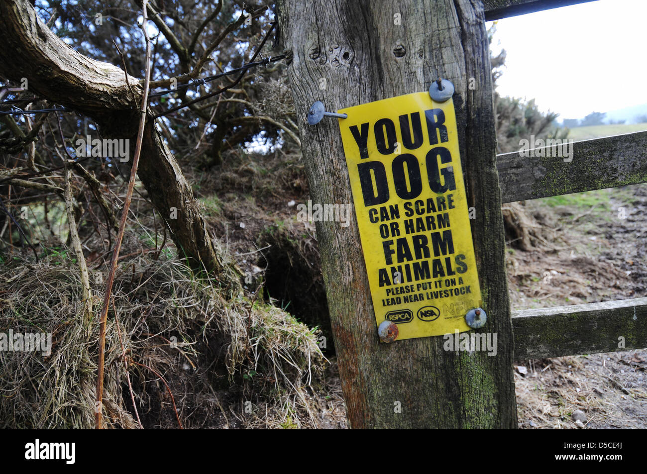 Your dog can scare or harm farm animals warning sign, UK Stock Photo