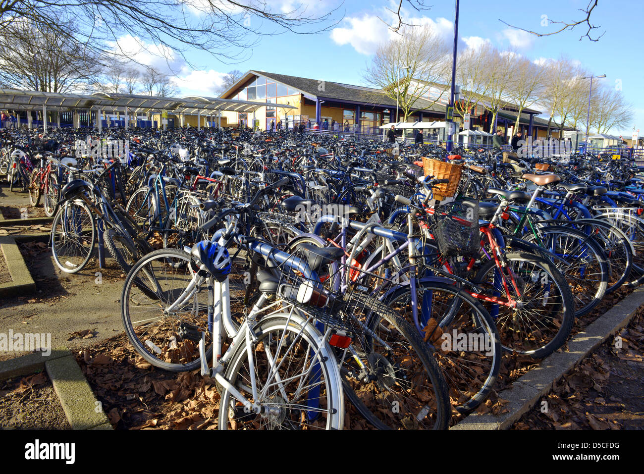 cycle park