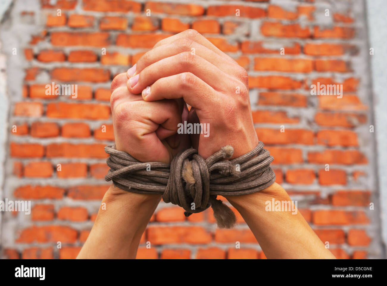 Hands tied up with rope against brick wall Stock Photo