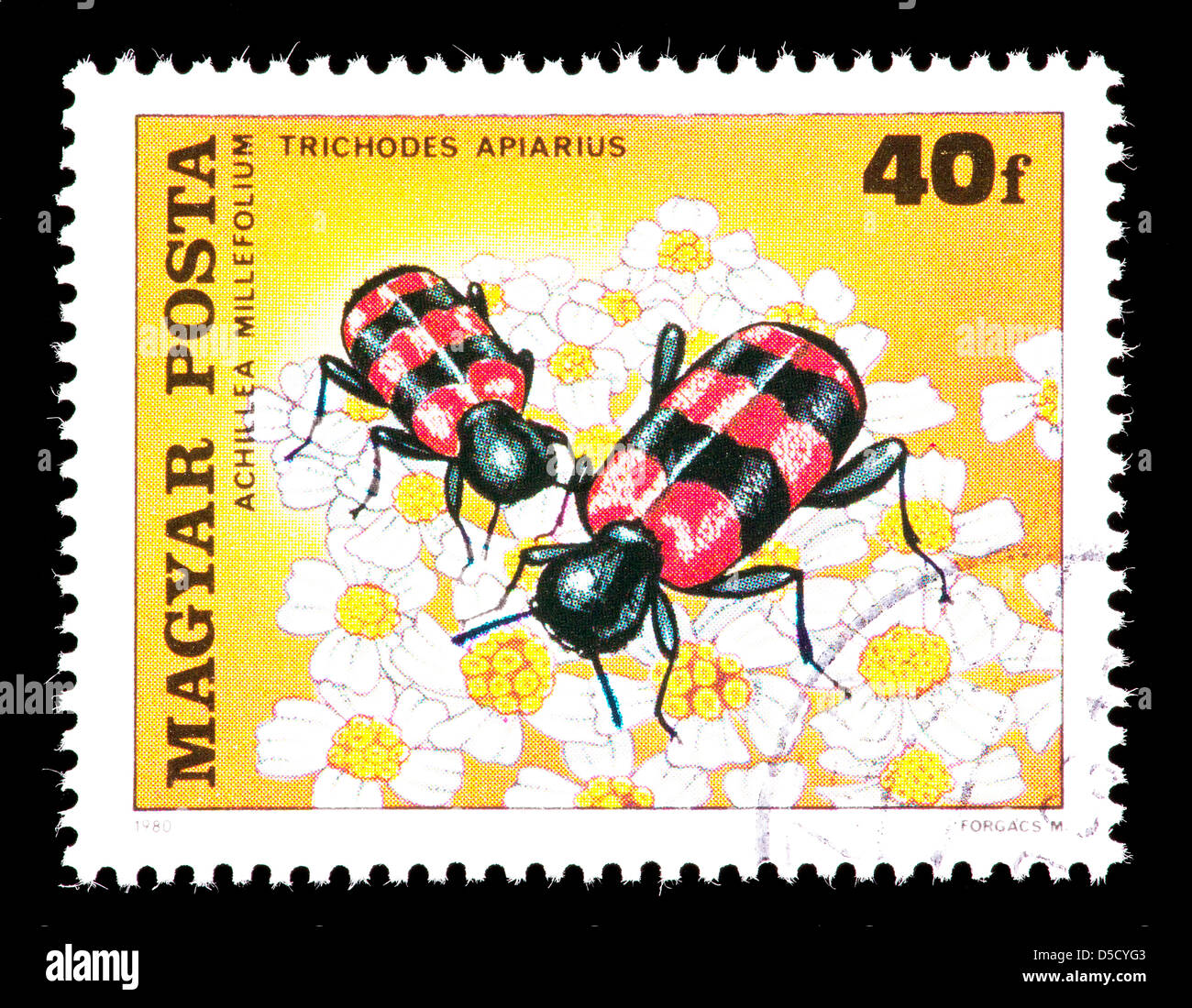 Postage stamp from Hungary depicting a checkered beetle (Trichodes apiarius) Stock Photo