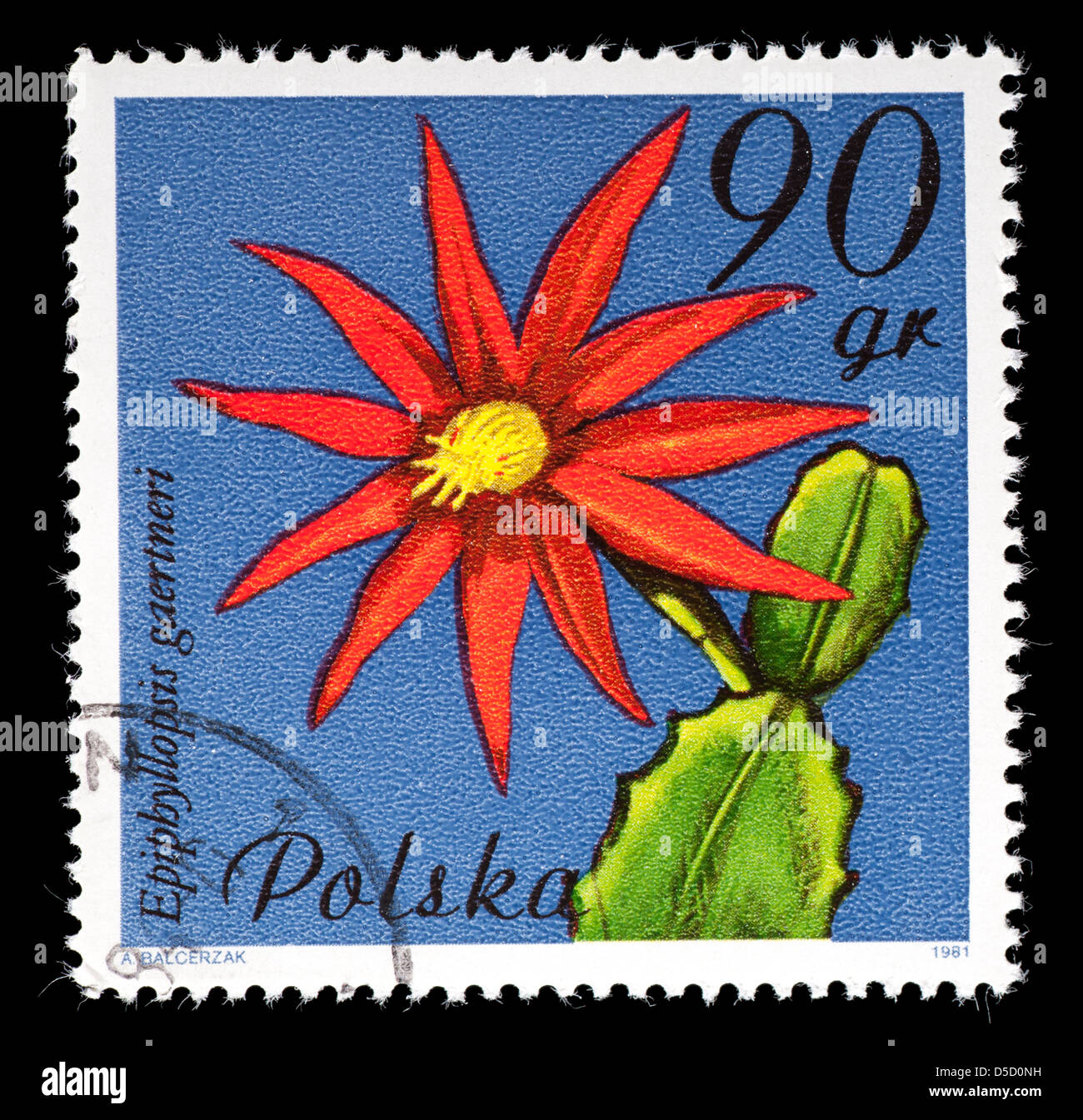 Postage stamp from Poland depicting a cactus flower Hatiora gaertner Stock Photo