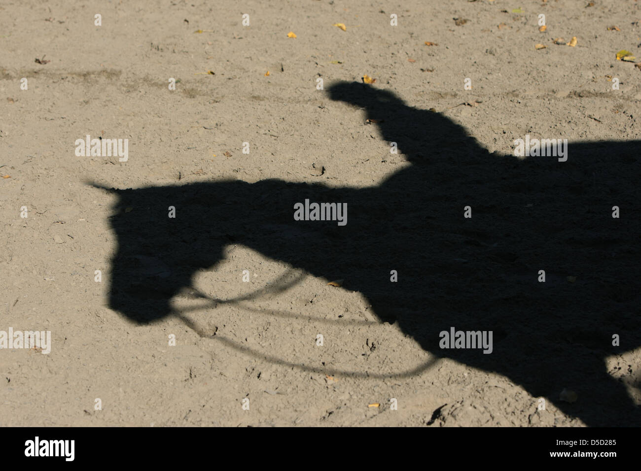 Berlin, Germany, horse and rider cast a shadow on the ground Stock ...