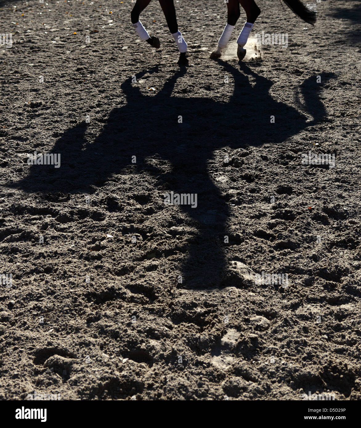 Berlin, Germany, horse and rider cast a shadow on the ground Stock ...