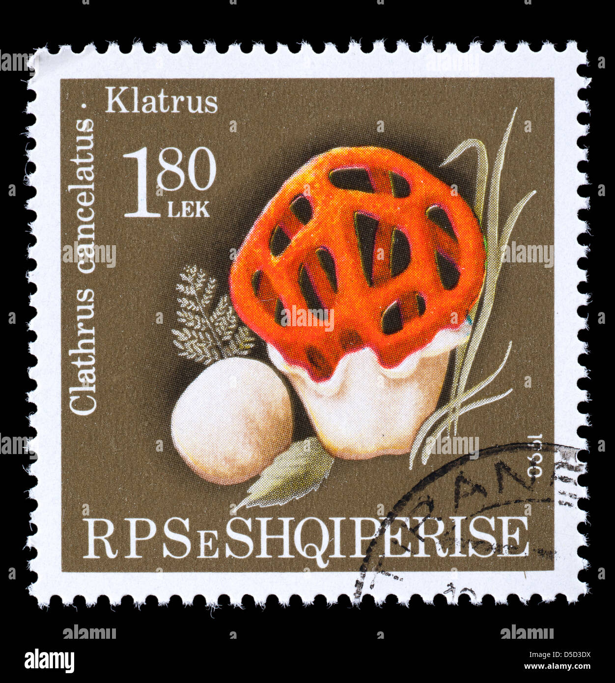 Postage stamp from Albania depicting depicting a basket stinkhorn mushroom (Clathrus cancellatus) Stock Photo