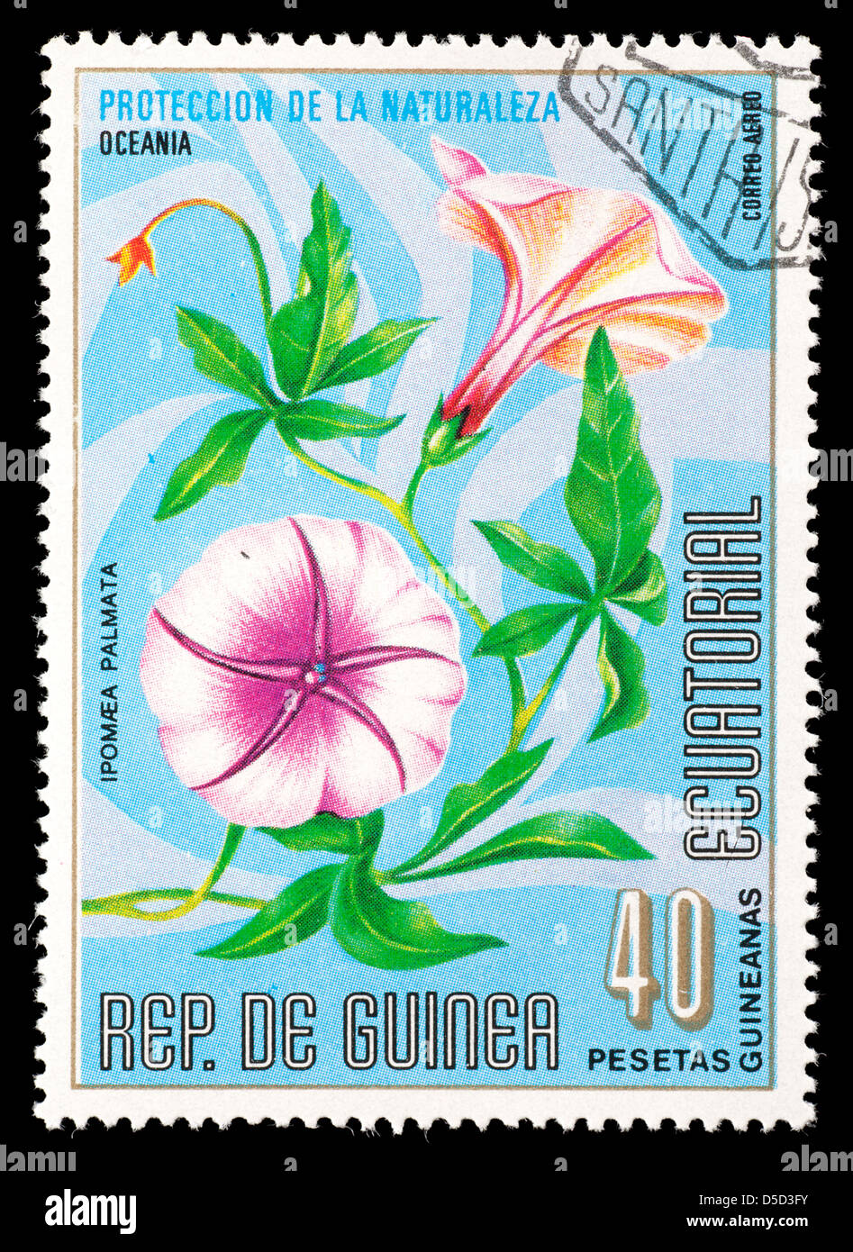 Postage stamp from Equatorial Guinea depicting a common morning glory  flower (Ipomaea palmata) Stock Photo