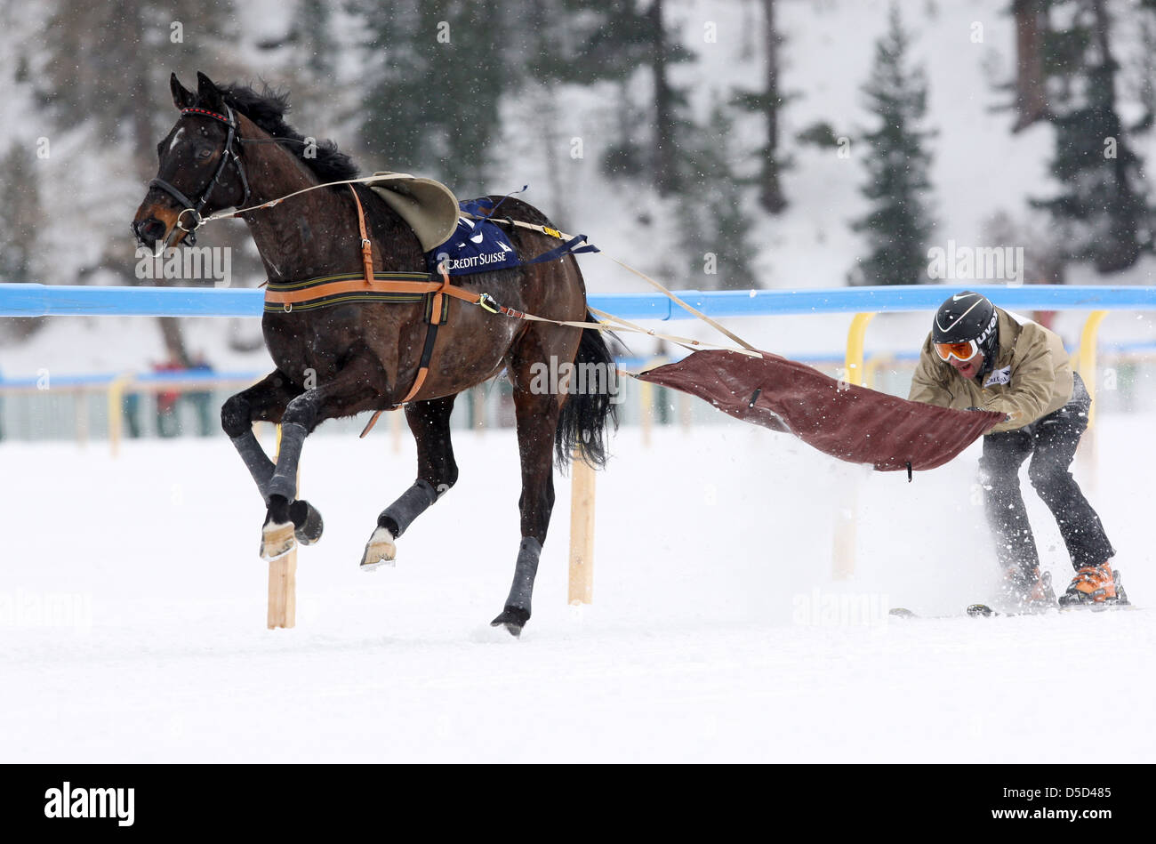 St. Moritz, Switzerland, on Lake St. Moritz skijoring Stock Photo