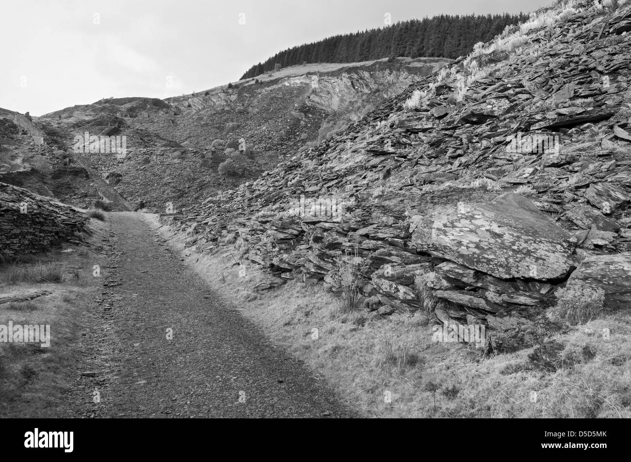 Wales, Snowdonia National Park, Penmachno, old abandoned slate quarry Stock Photo