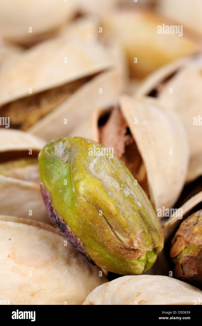 Pistachio nuts in shells Stock Photo Alamy