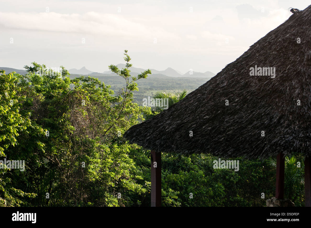 Thatched barn overlooking forest Stock Photo