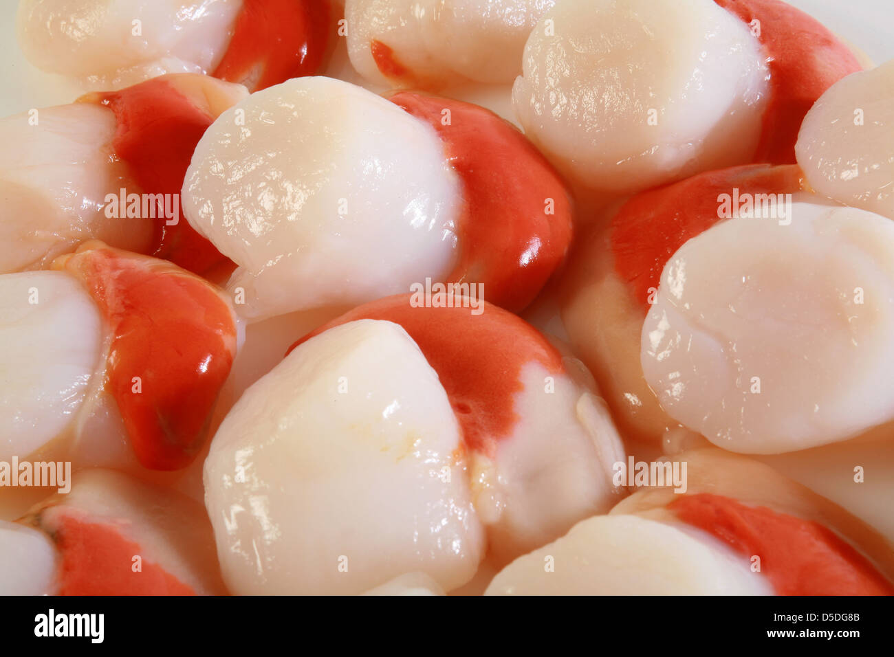 scallops Stock Photo