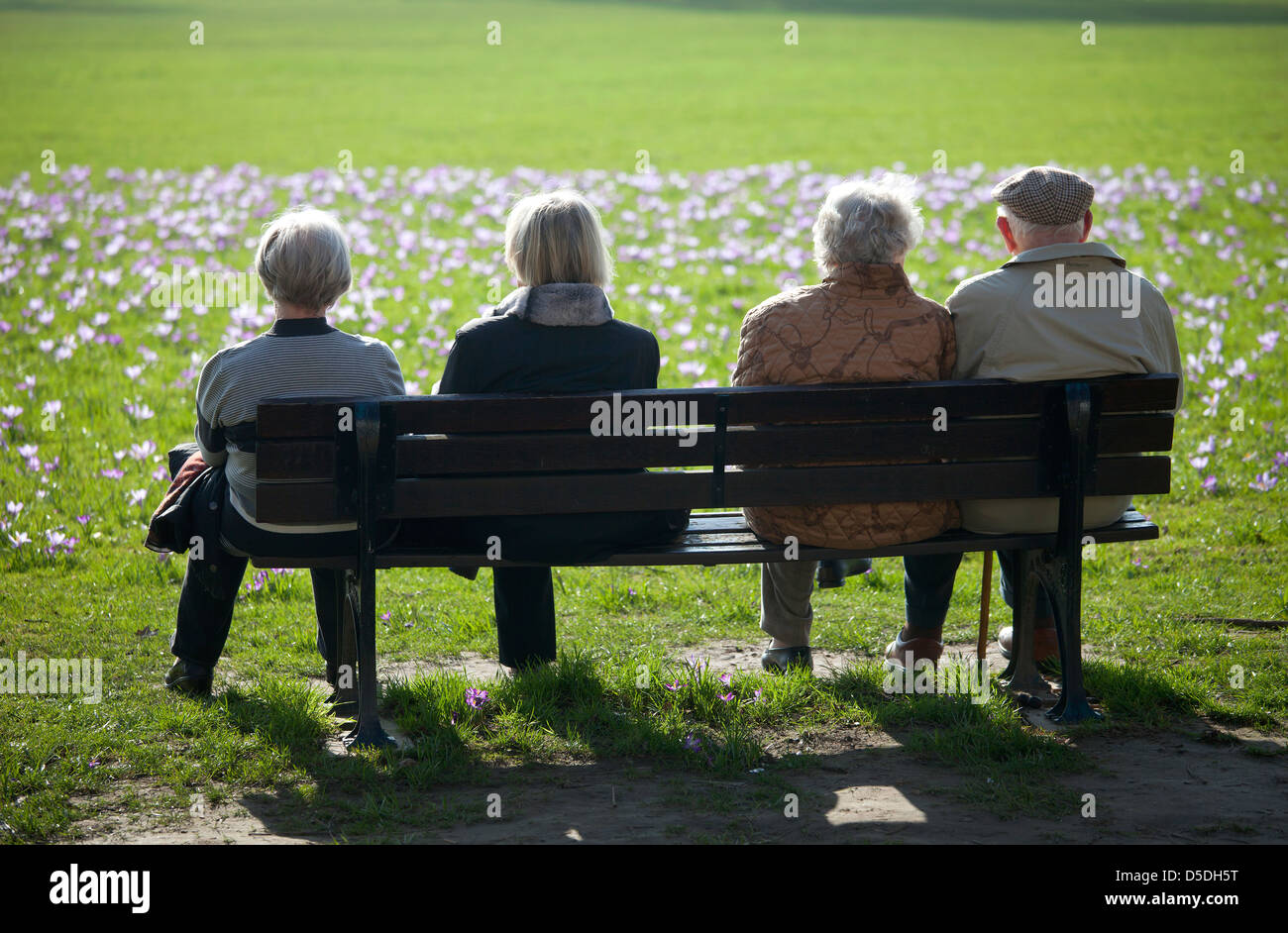 Duesseldorf, Germany, seniors on a park bench and watch the blooming Kroskusse Rheinpark Stock Photo