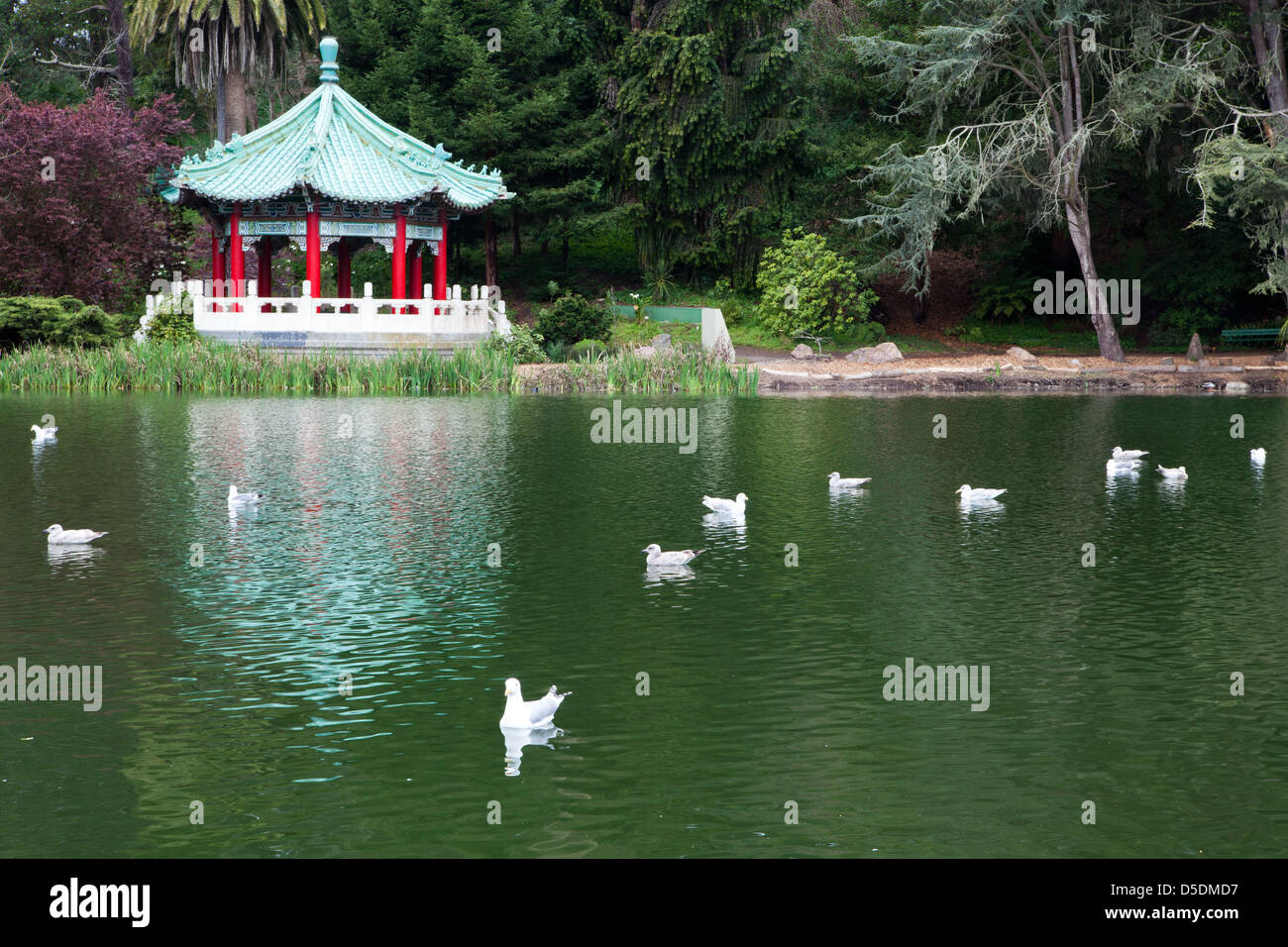 In Golden Gate Park, Stow Lake surrounds Strawberry Hill, an island