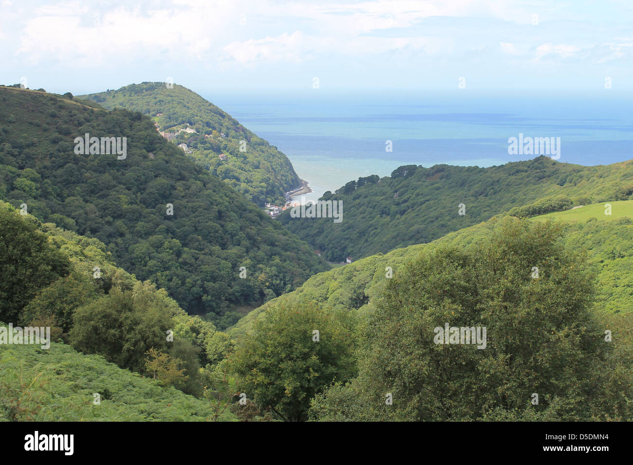 Thickly wooded coastal valley looking towards Lynmouth, North Devon, UK Stock Photo