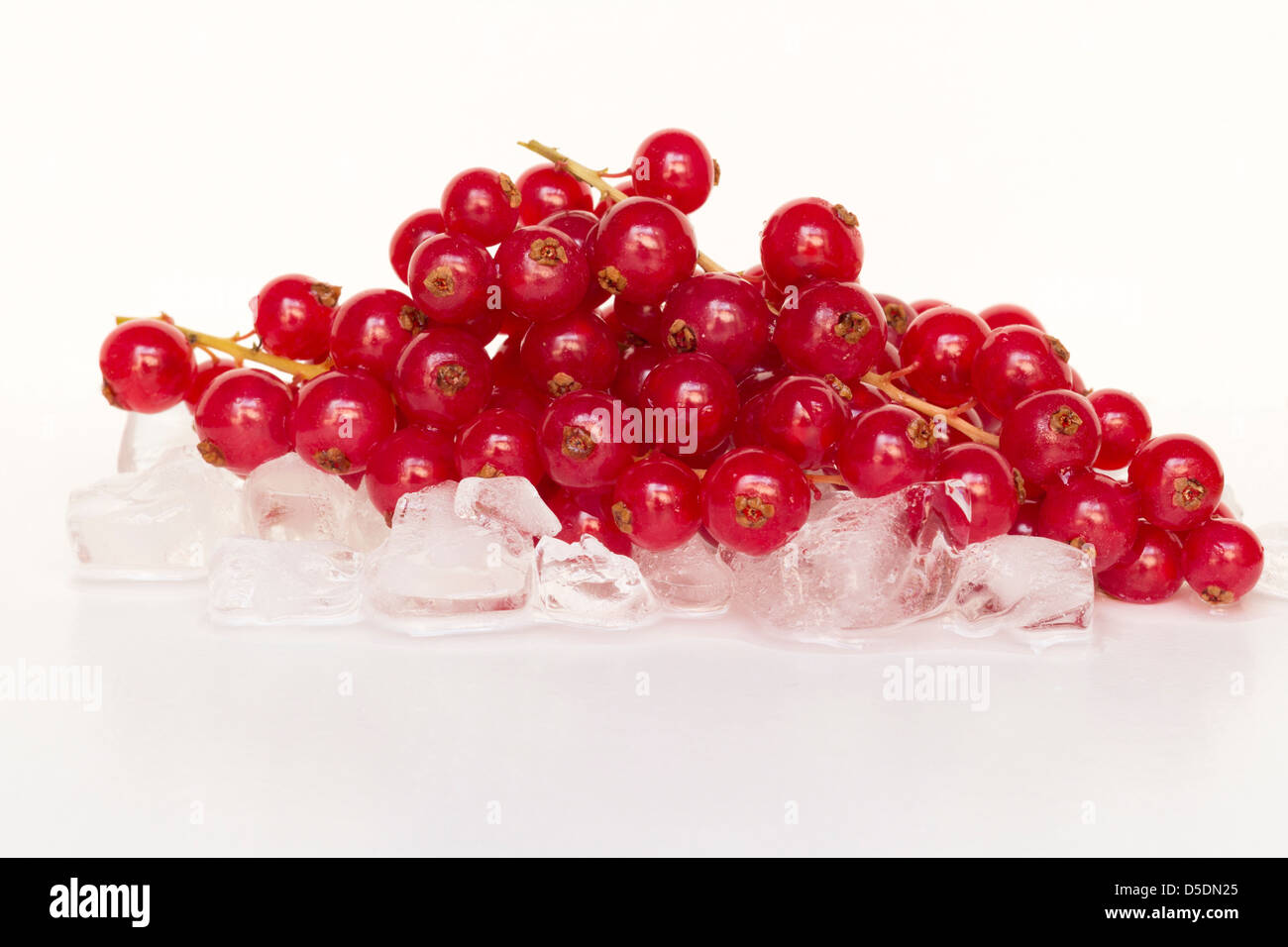 Fresh redcurrant Stock Photo