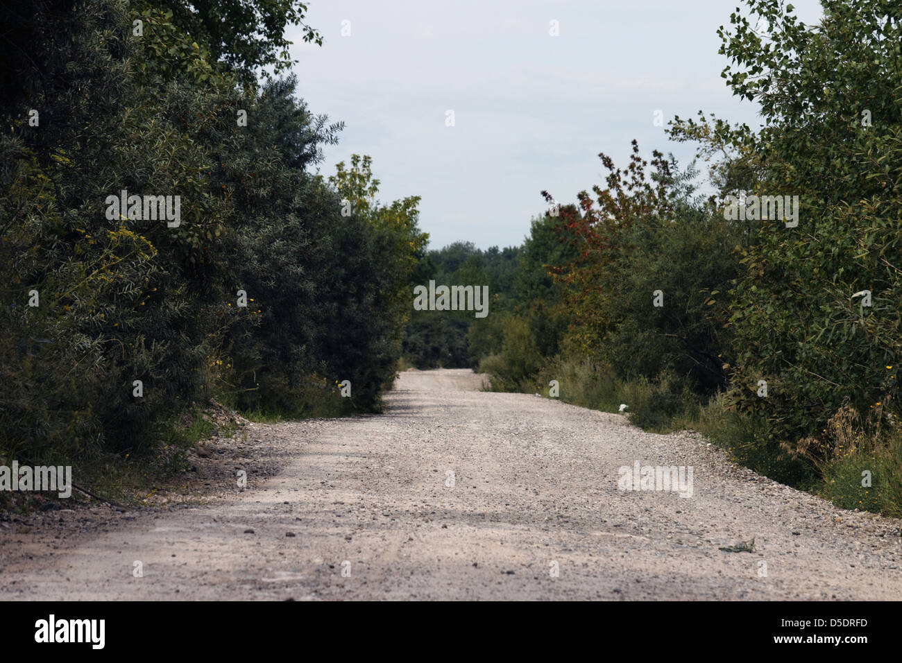 Empty dirty old road Stock Photo - Alamy